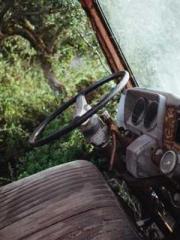 Transmigrated to the