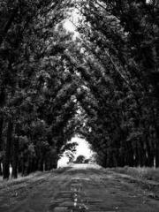 Rebirth in 1970: Eat