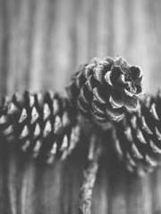 lt;lt;A Difficult Wi