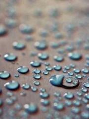 lt;lt;lt;Visionary S