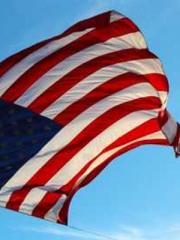 My Sweet Wife: The C