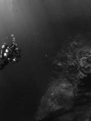 Lin Feng Lin Yun Yao