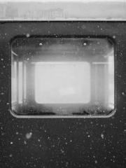 Reborn in the Apocal