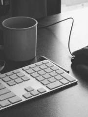 The Imperial Concubi