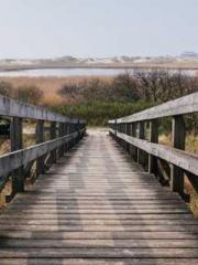 Dangerously Close to