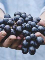 The Uncle Emperor Do The Uncle Emperor Do