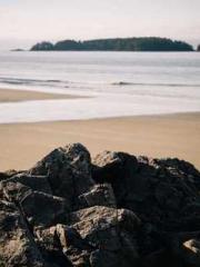 lt;Gingerly, Shen Qi