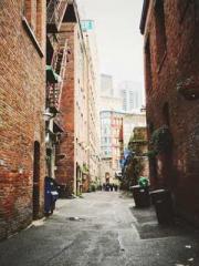 Grave Robbing: Openi