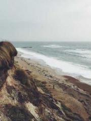 Mr. Gu, your wife is