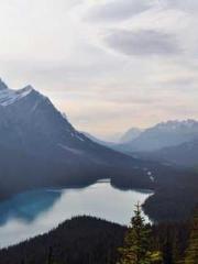 Reborn as the Belove