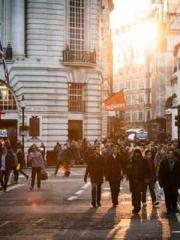 lt;lt;lt;Lin Feng Li