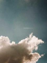 Ling Hao Qin Yuxin R